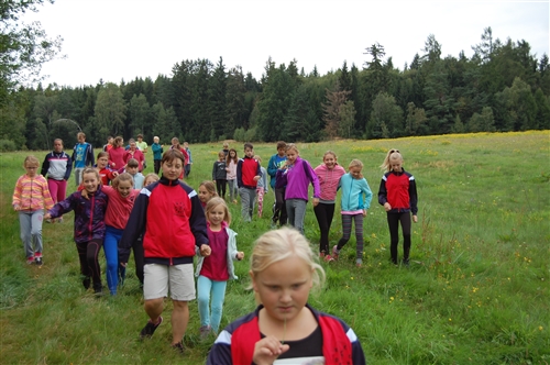 Obrázek v galerii